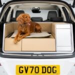 Your canine’s preferred EV– this cars and truck’s modular trunk has a power shower, heated bed and hairdryer to turn it into a pooch palace