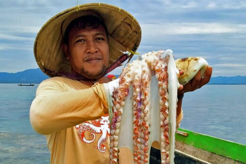 Indonesia’s Avatar sea wanderers enact Indigenous guidelines to safeguard octopus
