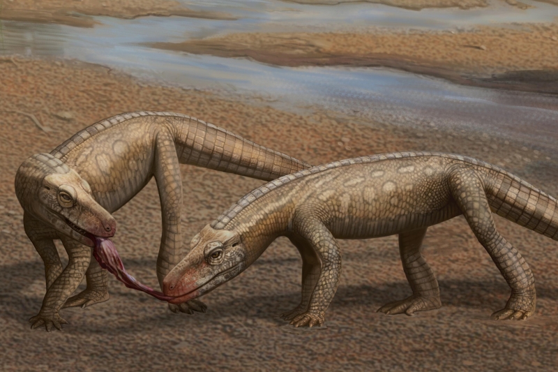 New Prehistoric Crocodile-Like Species Found in ‘Extremely Rare’ Discovery
