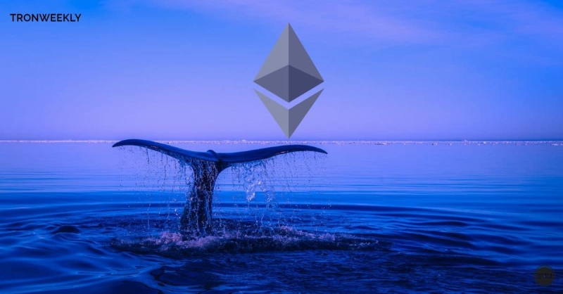 Ethereum Whales Activity Surges: Will ETH Break $4,000 or Drop Below $3,650? Expert Insight