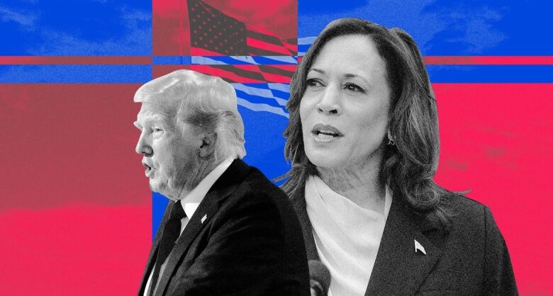 Trump incorrectly declares Kamala Harris ‘AI ‘d’ her rally crowd size