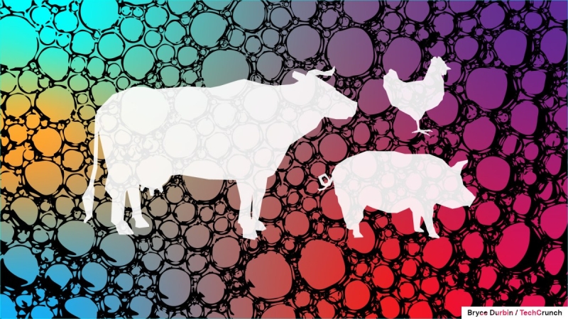 Even after $1.6 B in VC cash, the lab-grown meat market is dealing with ‘huge’ concerns