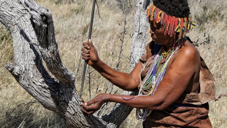 What it’s like to go on a bushwalk in the Kalahari desert