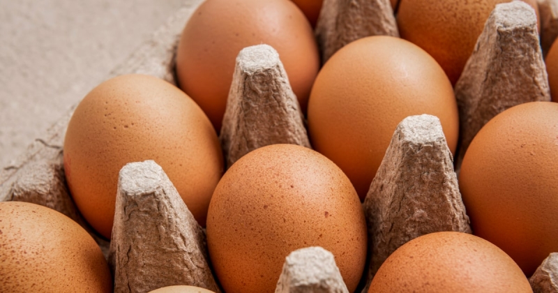 Wisconsin health authorities remember eggs after a multistate salmonella break out