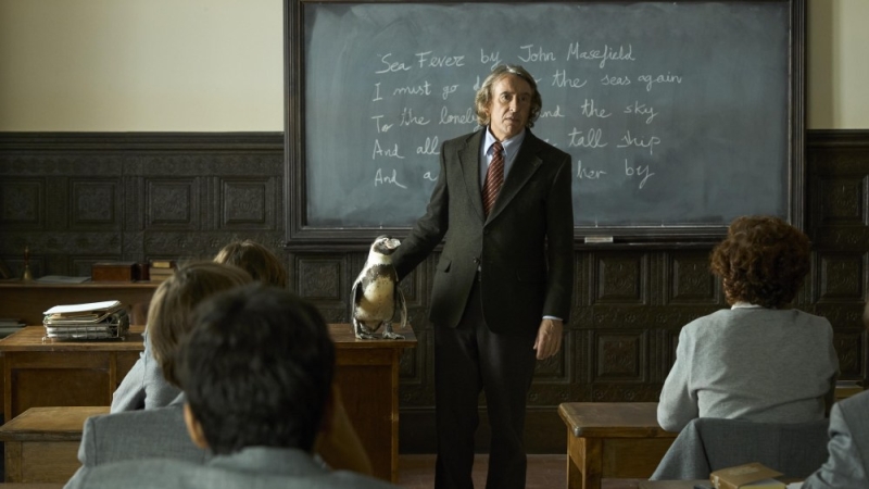 Steve Coogan Spent Weeks Getting Comfortable With His Two Penguin Co-Stars in ‘The Penguin Lessons’: ‘They Disarm You’