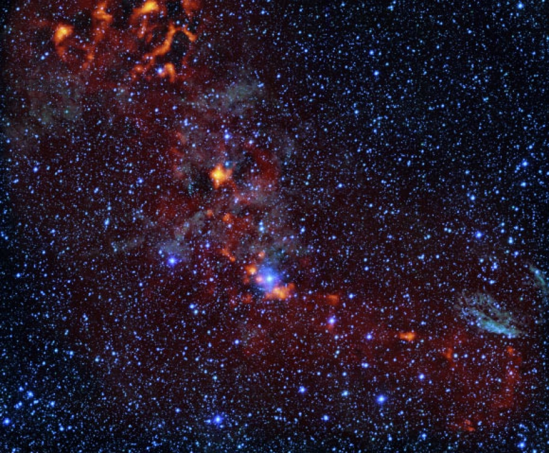 Denser Molecular Clouds Are Not More Efficient at Forming Stars, Astrophysicists Say