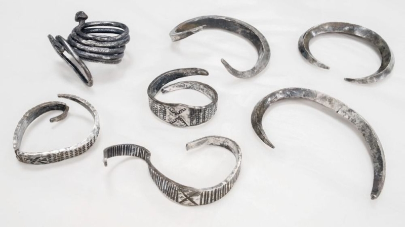 ‘Spectacular silver treasure’ from Viking Age discovered by university student on farm in Denmark