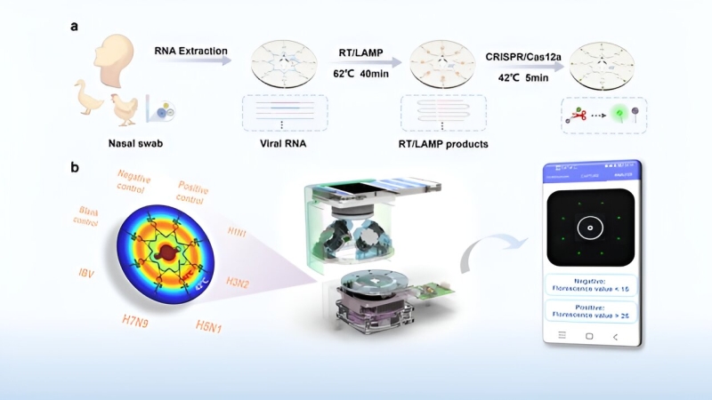 New smartphone-controlled microfluidic gadget assists with quick influenza detection