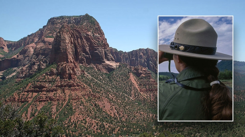 What to do if you find an ancient artifact at one of America’s national forests