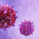 Single-shot HIV treatment reduces infection 10,000-fold for months, animal research study discovers