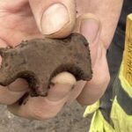 Viking Age stone figurine discovered in Iceland– however nobody can settle on which animal it is