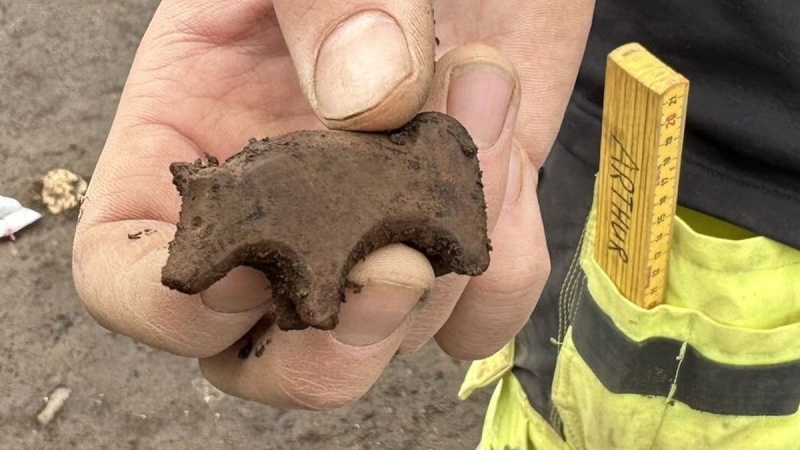 Viking Age stone figurine discovered in Iceland– however nobody can settle on which animal it is