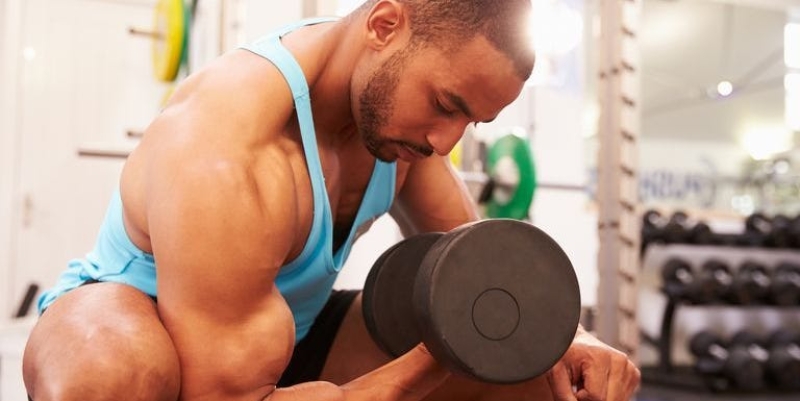 The 20 Best Biceps Exercises for Your Muscle-Building Workouts