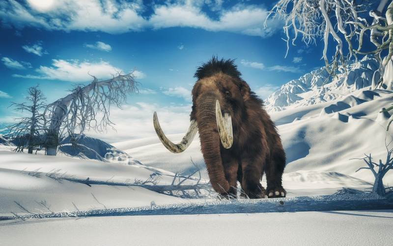 Glacial epoch people may not have actually hunted with tossing spears after all, brand-new research study claims