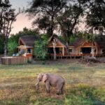 Do high-end safaris make a distinction?