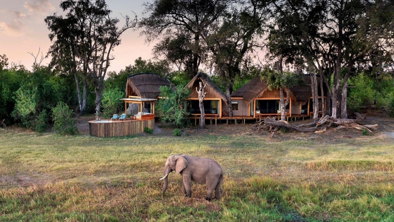 Do high-end safaris make a distinction?