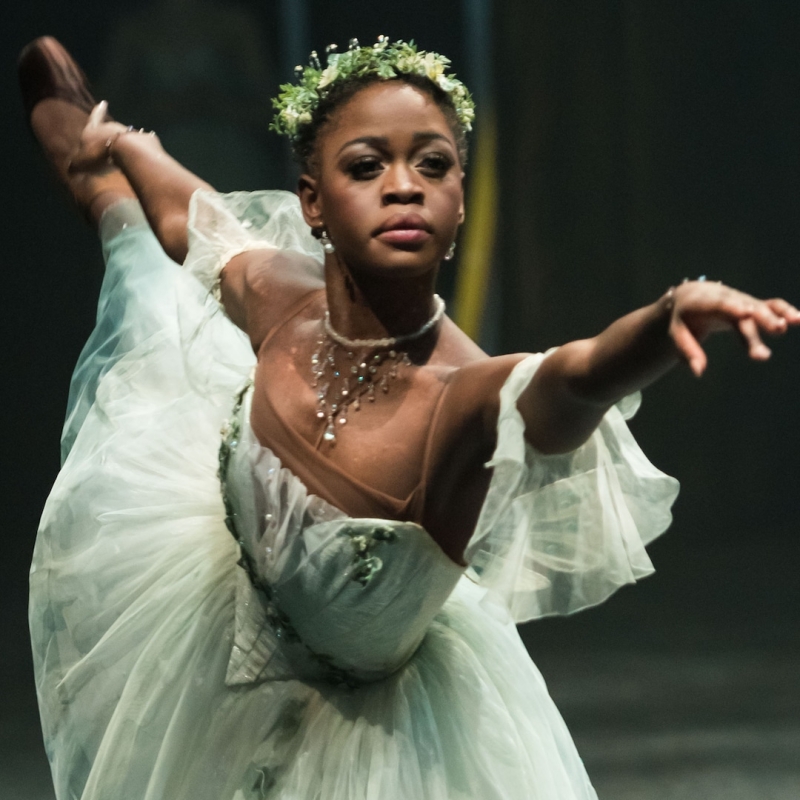 Ballerina Michaela DePrince Dead at 29– E! Online