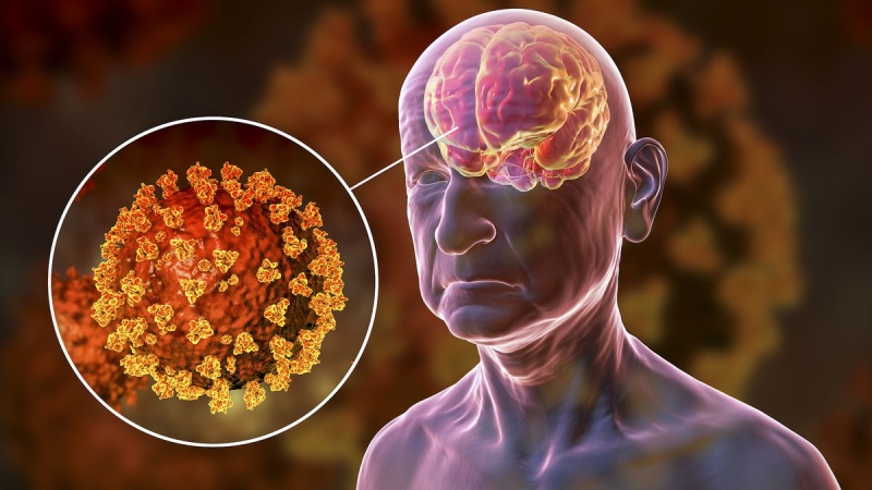 Infection that triggers COVID-19 utilizes a secret ‘back entrance’ to contaminate the brain