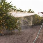 Cancer Risk: Are Pesticides the New Smoking?