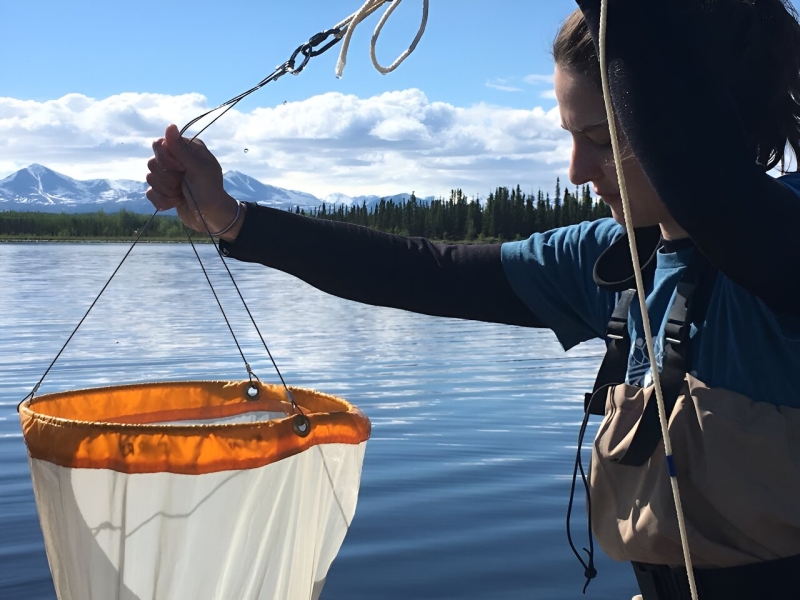 Comprehending how human activity effects zooplankton is necessary for handling and securing lakewater