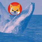 Shiba Inu Whale Activity Signals Optimistic 7,145% Surge Potential