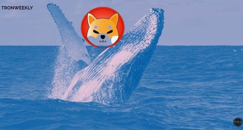 Shiba Inu Whale Activity Signals Optimistic 7,145% Surge Potential