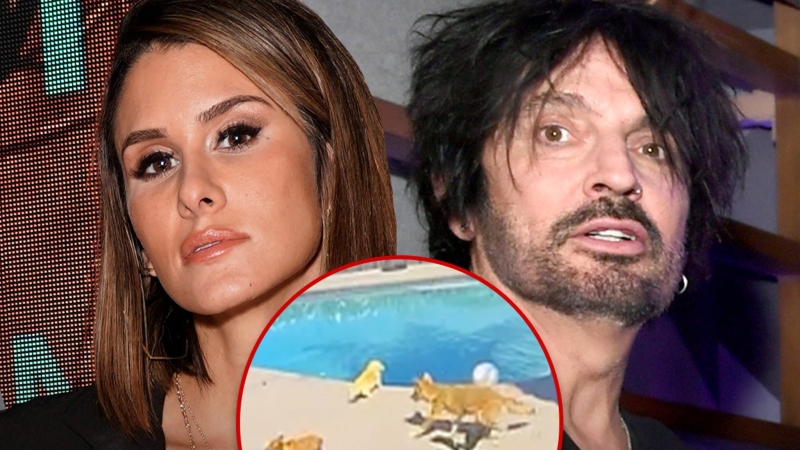 Tommy Lee & Brittany Furlan’s Dog Snatched By Coyote From Their Backyard