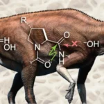 Collagen Mysteriously Persists in Dinosaur Bones for Tens of Millions of Years