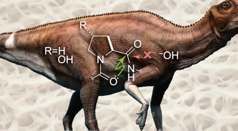 Collagen Mysteriously Persists in Dinosaur Bones for Tens of Millions of Years