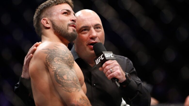 Joe Rogan informs Mike Perry what he must’ve done in a different way to have actually beaten Jake Paul