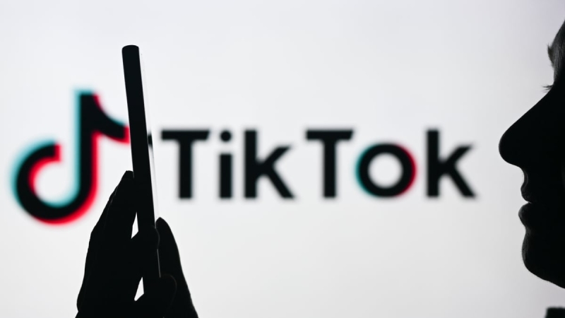 TikTok brings its paid memberships to more developers