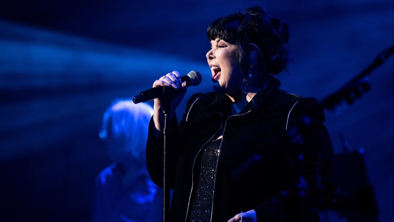 Ann Wilson Shares She’s Completed Chemotherapy: Results Were ‘The Good Kind’