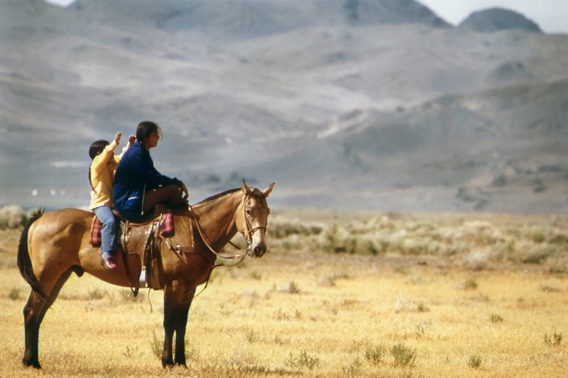 Simplifying energy policies on Native American appointments might assist ease hardship