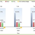 The extensive effect of COVID-19 on China’s farming carbon emissions