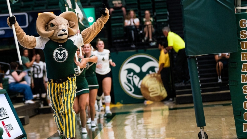 Colorado State wins in straight sets after choosing to bet group stuck in trans gamer debate