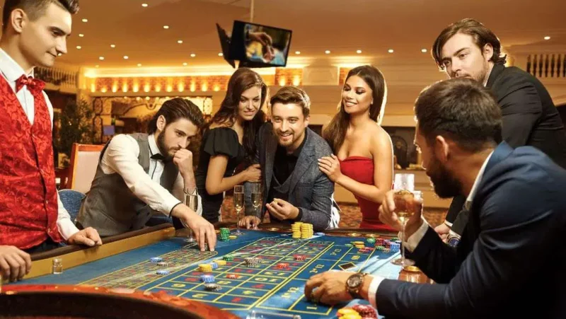 Live Dealer Games vs Game Shows: Which Is Best?