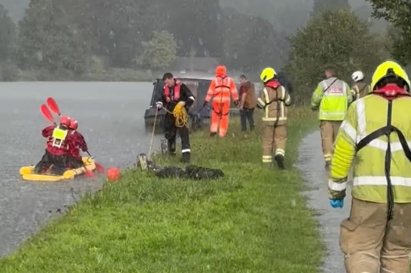 View: Stranded calf fished out of England’s River Thames