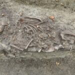 Middle ages kid ‘vampire burial’ exhumed near Polish cathedral