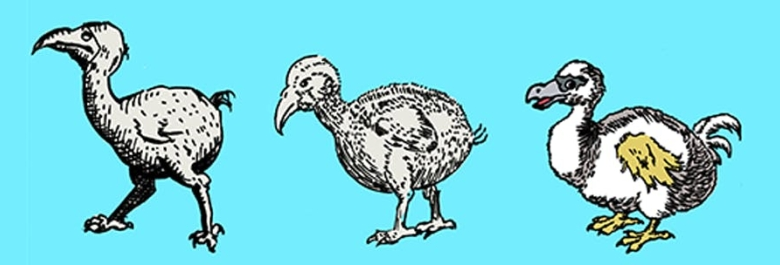 How History Did the Dodo Wrong