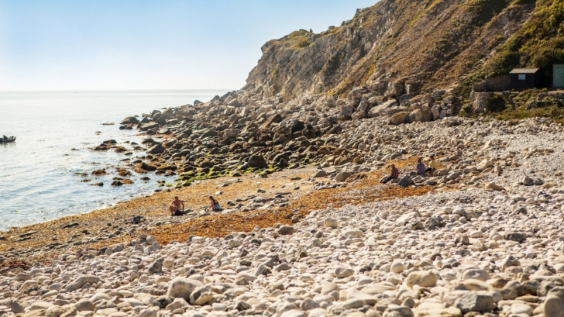 A guide to Weymouth, from fossil-hunting to boat journeys