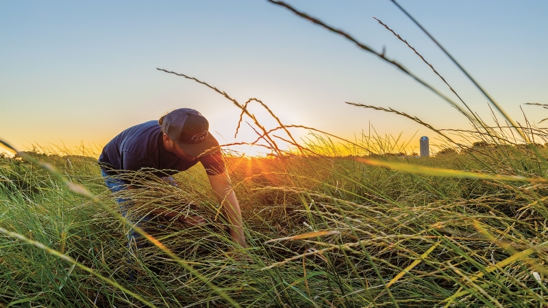 Can we consume our escape of the environment crisis?