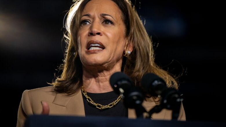 Kamala Harris Seriously Lagging Among Black Voters in New Poll