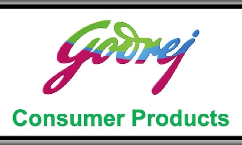 Godrej Group reports slower EBITDA development for 2nd quarter of FY25 in the middle of increasing palm oil expenses