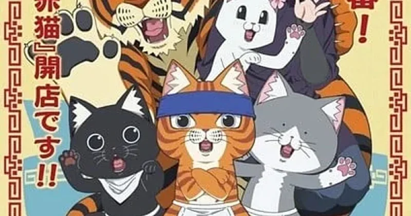 Red Cat Ramen Anime Series Review