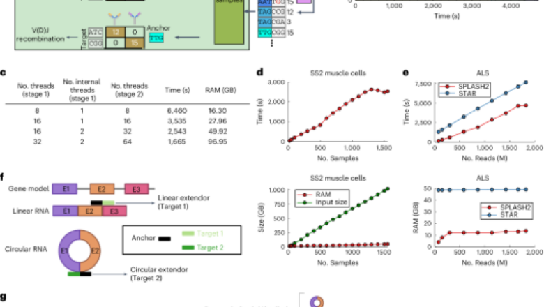 Scalable and not being watched discovery from raw sequencing checks out utilizing SPLASH2