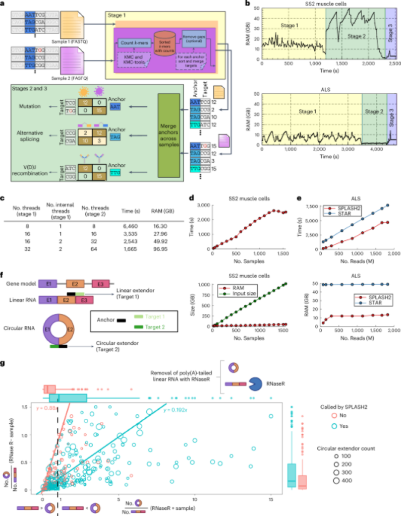 Scalable and not being watched discovery from raw sequencing checks out utilizing SPLASH2