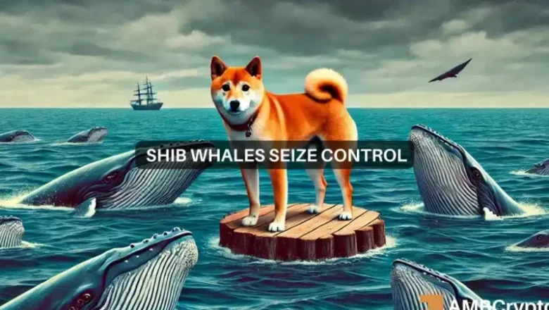 Shiba Inu whales reveal care: Could this be SHIB’s market bottom?