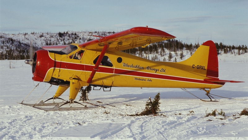 What Are Bush Planes, And How Are They Different From Regular Prop Planes?