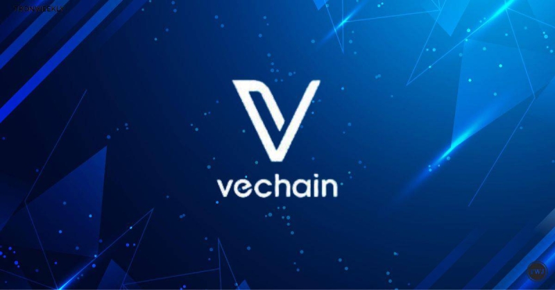 VeChain At 5-Year Low, Setting Stage For Potential Bull Market By 2025