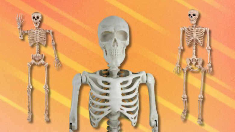 Boo! Get poseable skeletons at frightening excellent rates